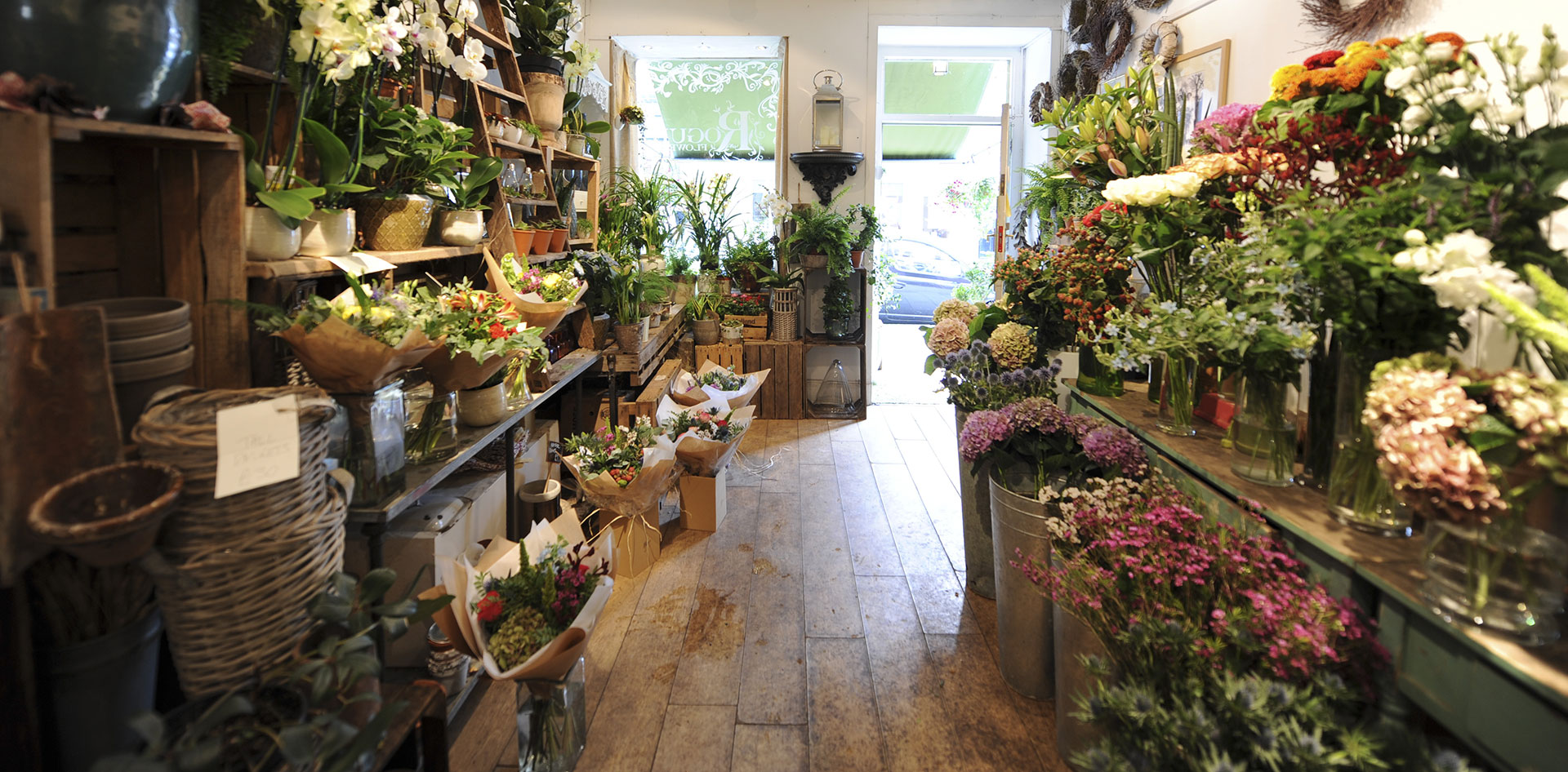 Rogue Flowers Shop